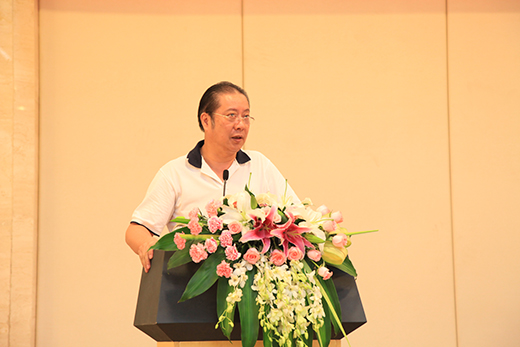 中国演艺设备技术协会理事长朱新村发表总结讲话
